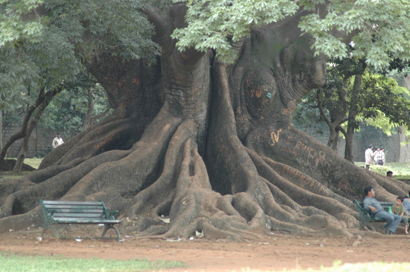 Lal-Bagh-09