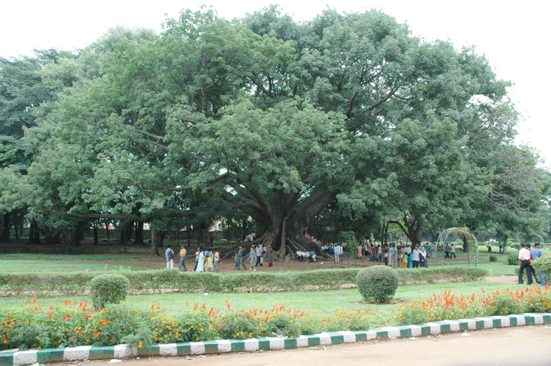 Lal-Bagh-10